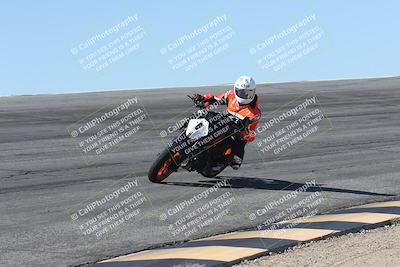 media/Oct-13-2025-Moto Forza (Mon) [[a66d839500]]/4-C Group/Session 2 (Bowl)/